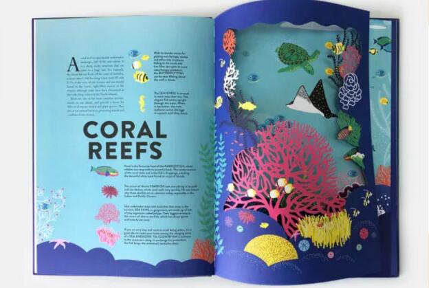 激光鏤空兒童繪本 開(kāi)啟知識(shí)的海洋
